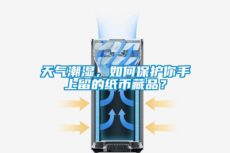 天气潮湿，如何保护你手上留的纸币藏品？