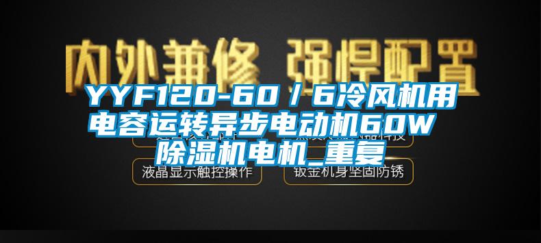 YYF120-60／6冷风机用电容运转异步电动机60W 除湿机电机_重复