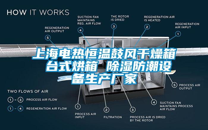 上海电热恒温鼓风干燥箱 台式烘箱 除湿防潮设备生产厂家