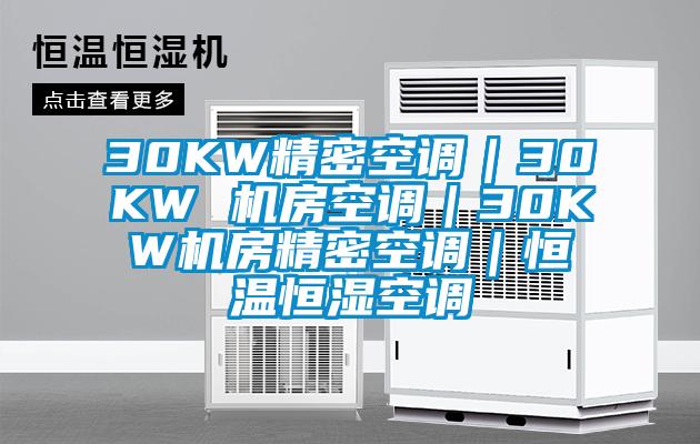 30KW精密空调｜30KW 机房空调｜30KW机房精密空调｜恒温恒湿空调