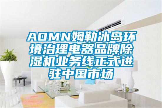 AOMN姆勒冰岛环境治理电器品牌除湿机业务线正式进驻中国市场