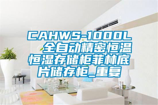 CAHWS-1000L  全自动精密恒温恒湿存储柜菲林底片储存柜_重复