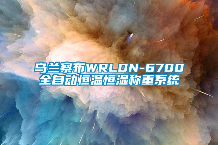 乌兰察布WRLDN-6700全自动恒温恒湿称重系统