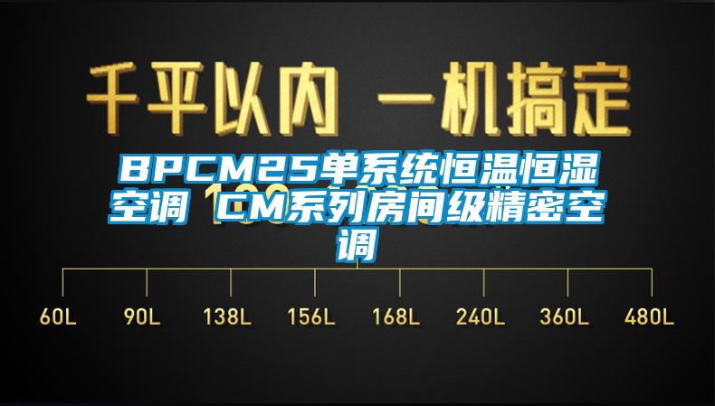 BPCM25单系统恒温恒湿空调 CM系列房间级精密空调