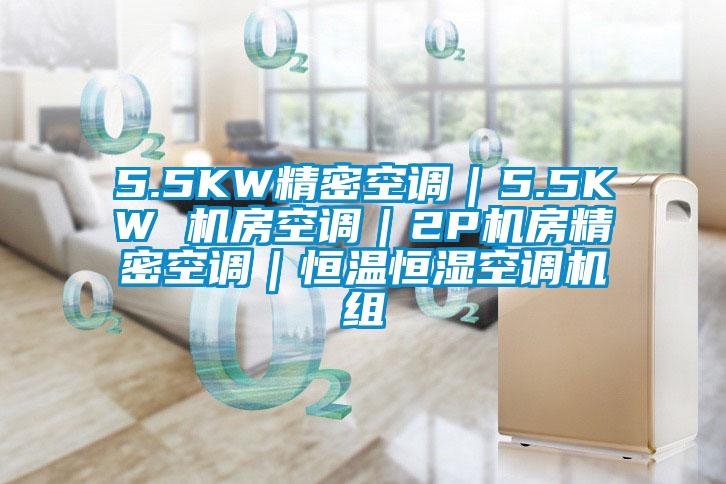 5.5KW精密空调｜5.5KW 机房空调｜2P机房精密空调｜恒温恒湿空调机组