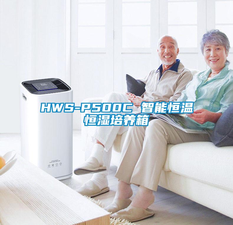 HWS-P500C 智能恒温恒湿培养箱