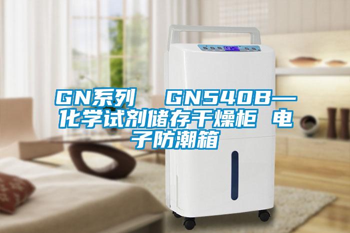 GN系列  GN540B—化学试剂储存干燥柜 电子防潮箱