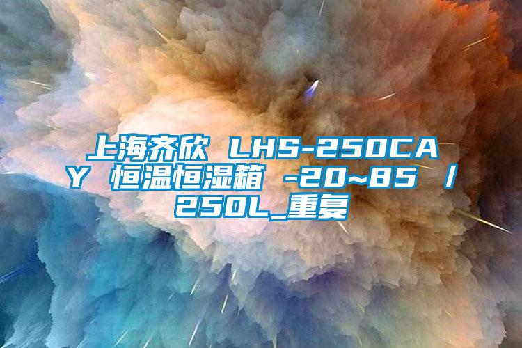 上海齐欣 LHS-250CAY 恒温恒湿箱 -20~85℃／250L_重复