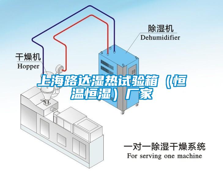 上海路达湿热试验箱（恒温恒湿）厂家