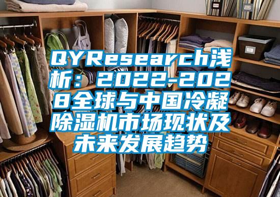 QYResearch浅析：2022-2028全球与中国冷凝除湿机市场现状及未来发展趋势