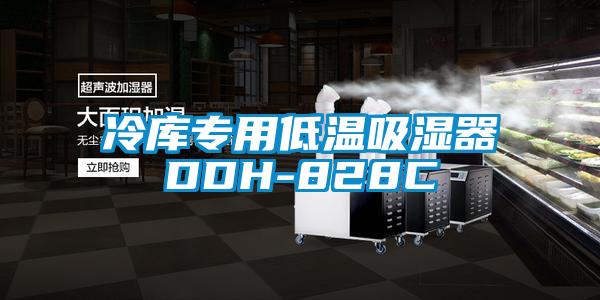 冷库专用低温吸湿器DDH-828C