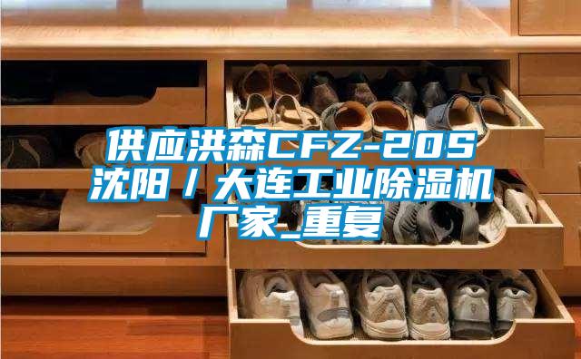 供应洪森CFZ-20S沈阳／大连工业除湿机厂家_重复