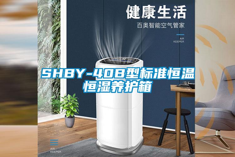 SHBY-40B型标准恒温恒湿养护箱