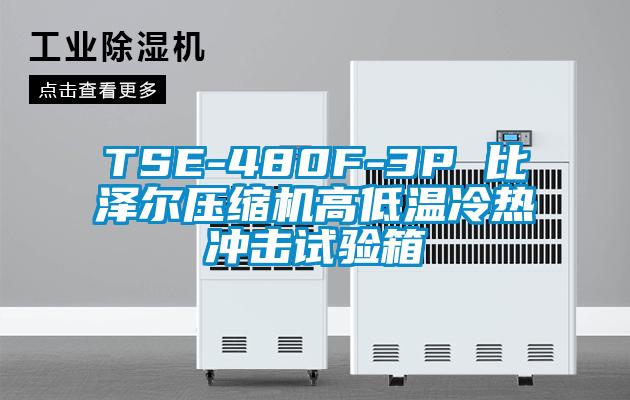 TSE-480F-3P 比泽尔压缩机高低温冷热冲击试验箱