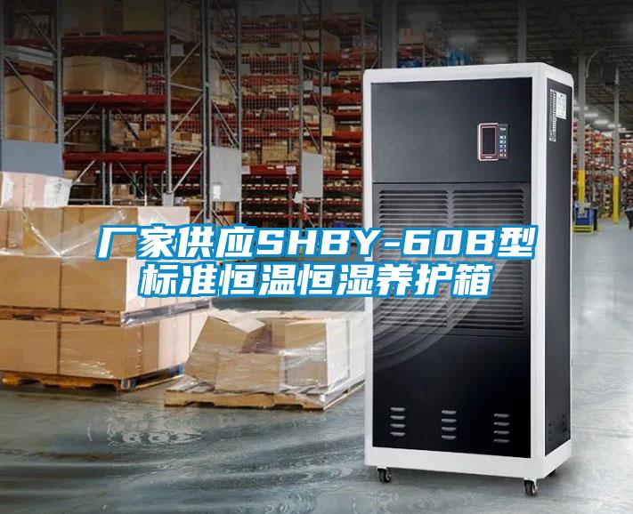 厂家供应SHBY-60B型标准恒温恒湿养护箱