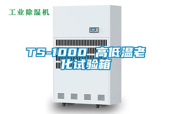 TS-1000 高低温老化试验箱