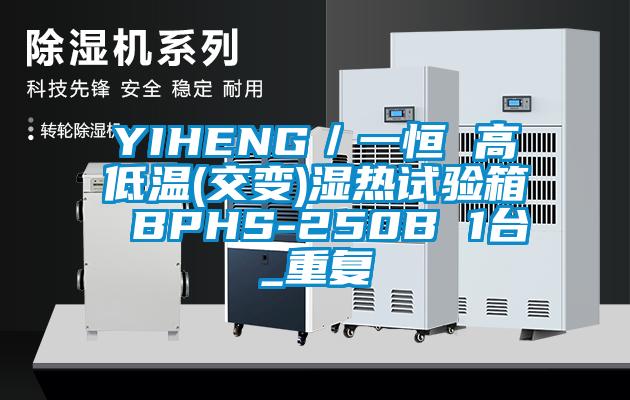 YIHENG／一恒 高低温(交变)湿热试验箱 BPHS-250B 1台_重复