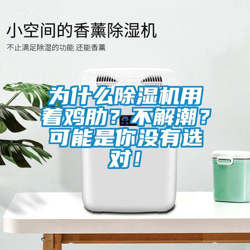 为什么除湿机用着鸡肋？不解潮？可能是你没有选对！