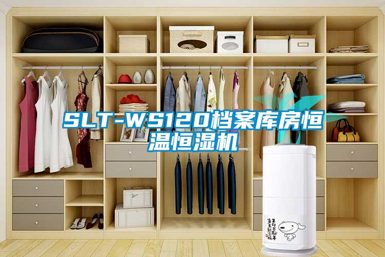 SLT-WS120档案库房恒温恒湿机