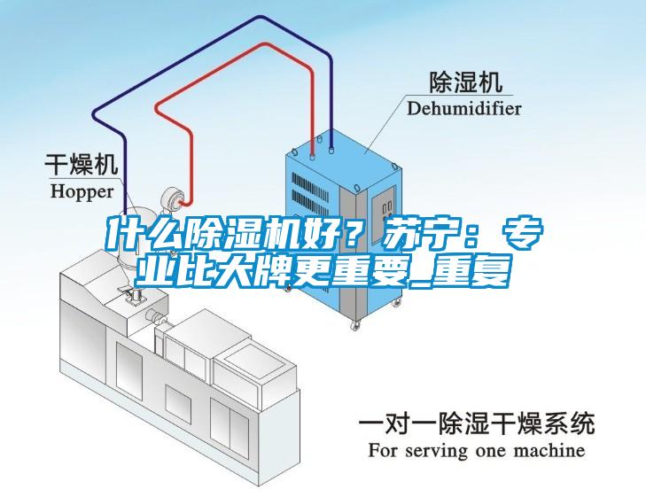 什么除湿机好？苏宁：专业比大牌更重要_重复