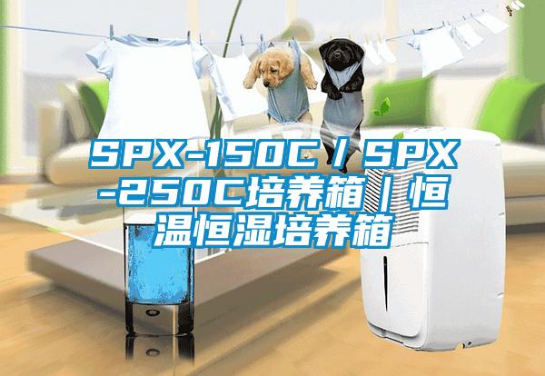 SPX-150C／SPX-250C培养箱｜恒温恒湿培养箱