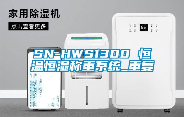 SN-HWS1300 恒温恒湿称重系统_重复