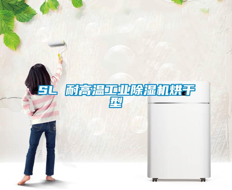 SL 耐高温工业除湿机烘干型