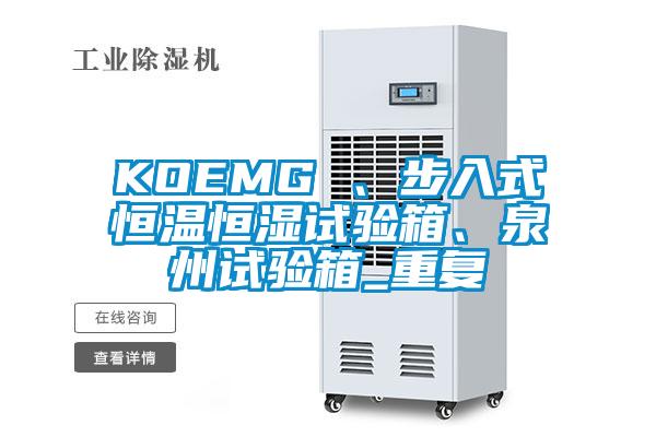 KOEMG 、步入式恒温恒湿试验箱、泉州试验箱_重复