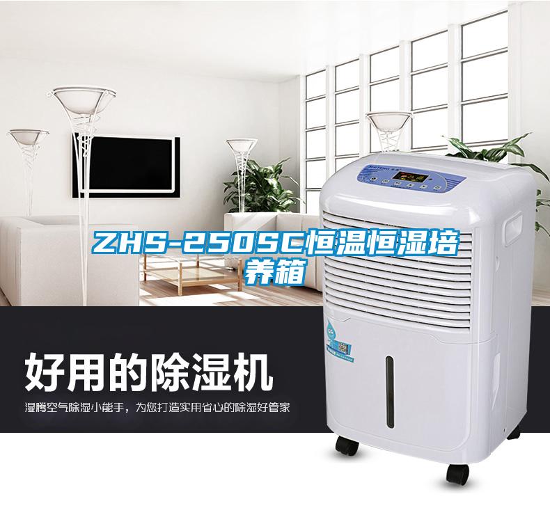 ZHS-250SC恒温恒湿培养箱