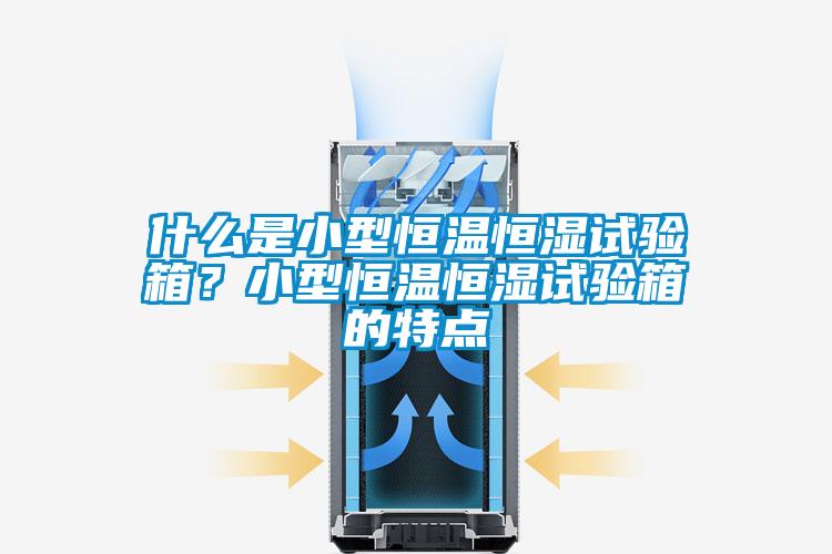 什么是小型恒温恒湿试验箱？小型恒温恒湿试验箱的特点