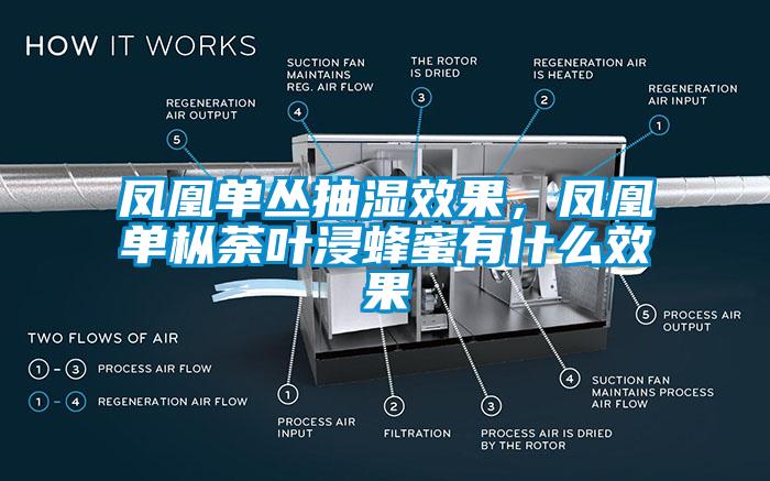 凤凰单丛抽湿效果，凤凰单枞荼叶浸蜂蜜有什么效果