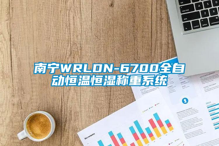 南宁WRLDN-6700全自动恒温恒湿称重系统