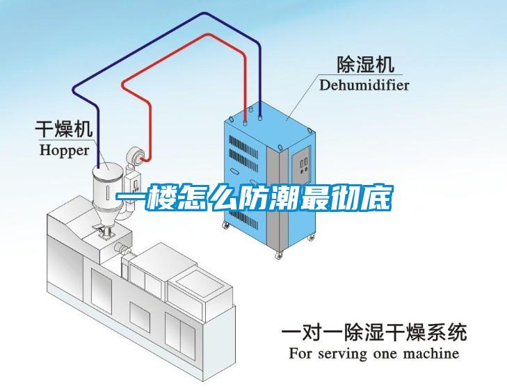 一楼怎么防潮最彻底