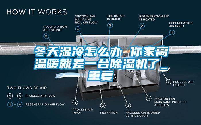 冬天湿冷怎么办 你家离温暖就差一台除湿机了_重复