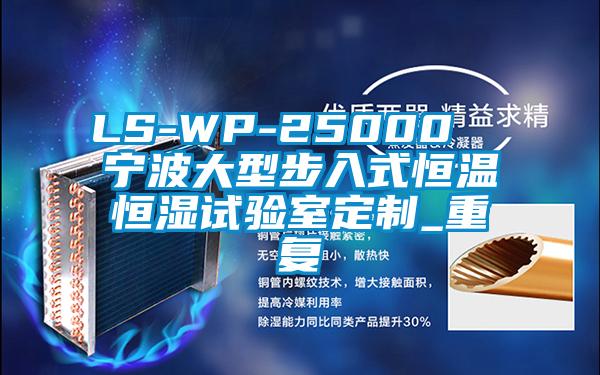 LS-WP-25000  宁波大型步入式恒温恒湿试验室定制_重复