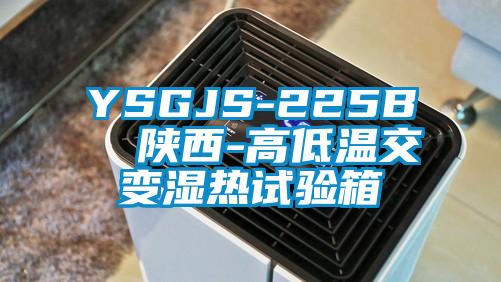 YSGJS-225B  陕西-高低温交变湿热试验箱