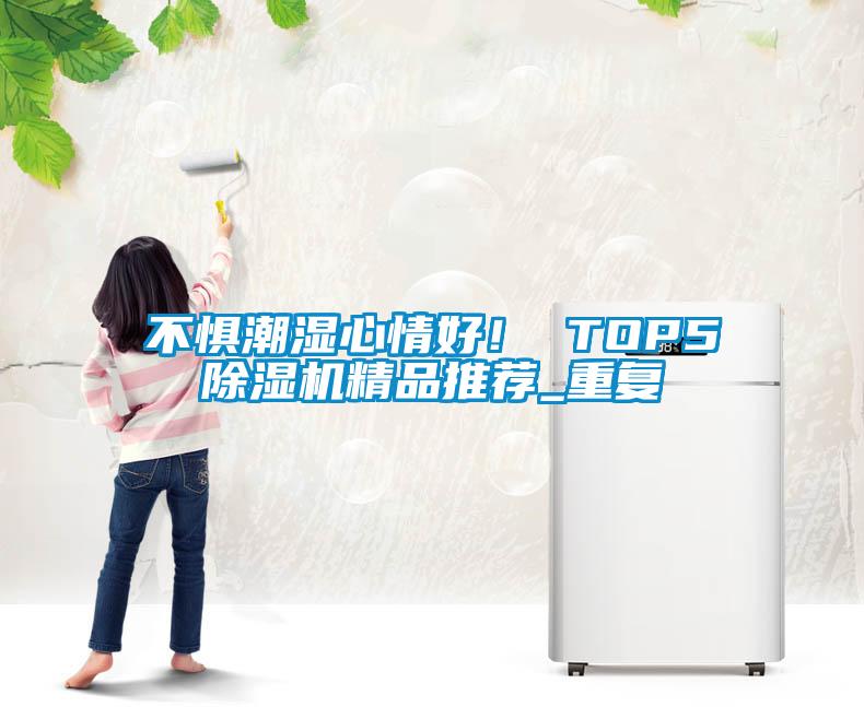 不惧潮湿心情好！ TOP5除湿机精品推荐_重复