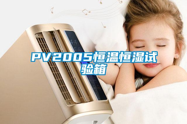 PV2005恒温恒湿试验箱