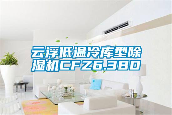 云浮低温冷库型除湿机CFZ6.3BD