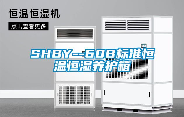 SHBY--60B标准恒温恒湿养护箱