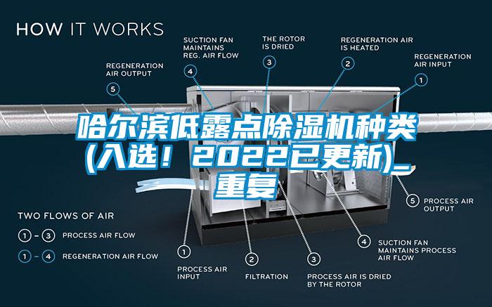 哈尔滨低露点除湿机种类(入选！2022已更新)_重复