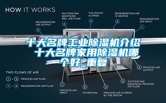 十大名牌工业除湿机介绍 十大名牌家用除湿机哪个好_重复