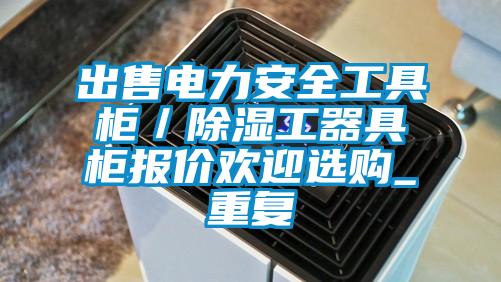 出售电力安全工具柜／除湿工器具柜报价欢迎选购_重复