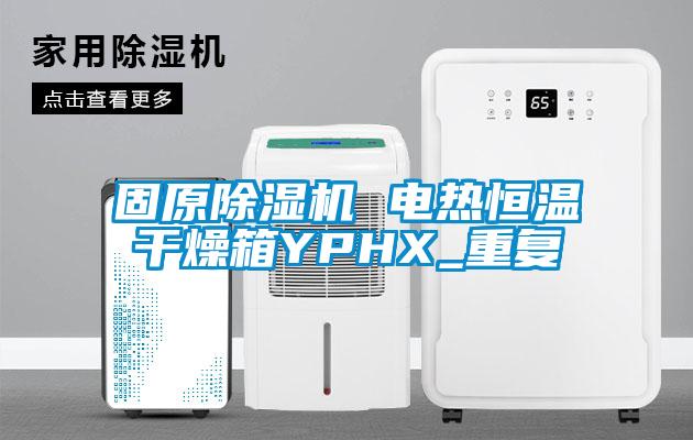 固原除湿机 电热恒温干燥箱YPHX_重复