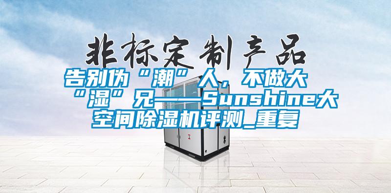 告别伪“潮”人，不做大“湿”兄——Sunshine大空间除湿机评测_重复