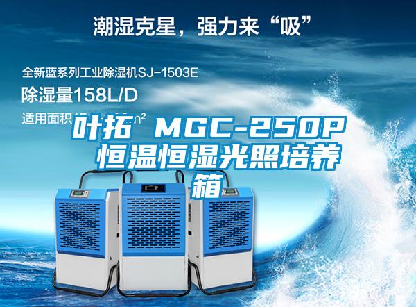 叶拓 MGC-250P 恒温恒湿光照培养箱