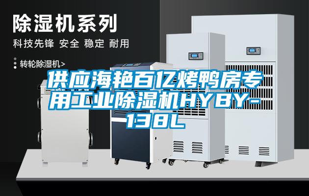 供应海艳百亿烤鸭房专用工业除湿机HYBY-138L