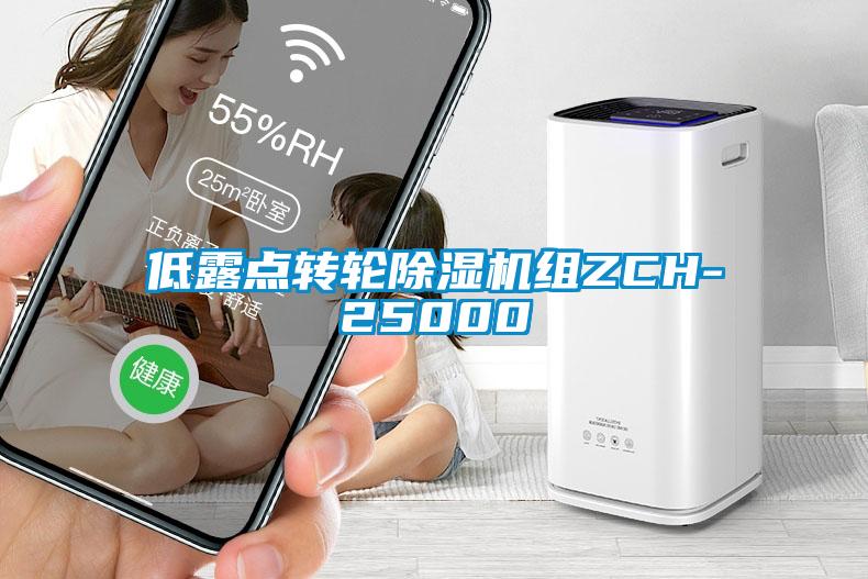 低露点转轮除湿机组ZCH-25000