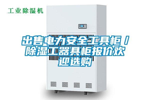 出售电力安全工具柜／除湿工器具柜报价欢迎选购