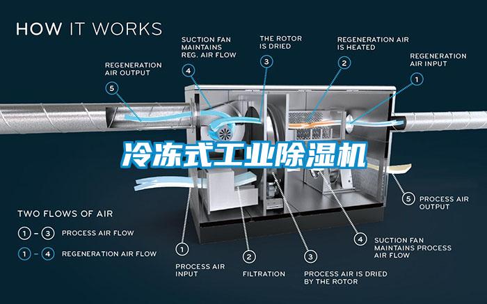 冷冻式工业除湿机